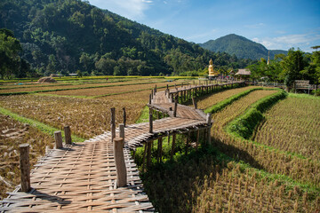 THAILAND PHRAE WAT NA KHU HA BUDDHA