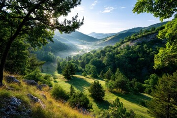 Misty Landscape in a Serene Valley at Sunrise with Golden Light
