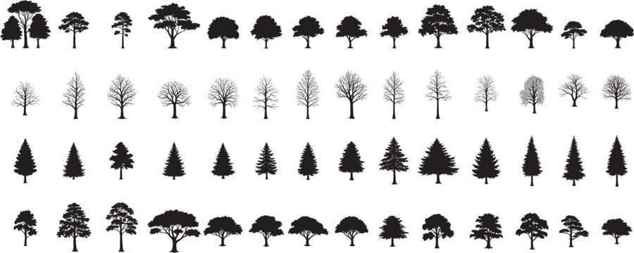 silhouette tree line drawing set, Side view, set of graphics trees elements outline symbol for architecture and landscape design drawing. Vector illustration in stroke fill in white.