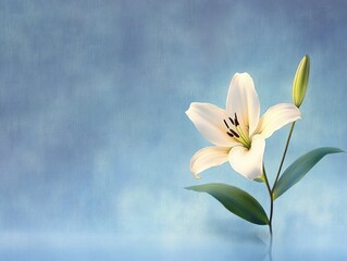 Lily Flower on Soft Blue Background Impressionism Funeral Wake Order of Service Template with Copy Space