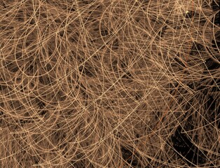 Imaginatory fractal abstract background Image