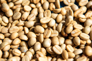 THAILAND PHRAE BAN NAKHUHA VILLAGE COFFEE