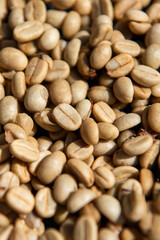 THAILAND PHRAE BAN NAKHUHA VILLAGE COFFEE