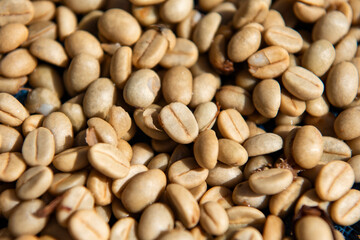 THAILAND PHRAE BAN NAKHUHA VILLAGE COFFEE
