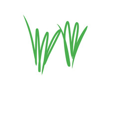 grass doodle