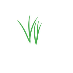 grass doodle