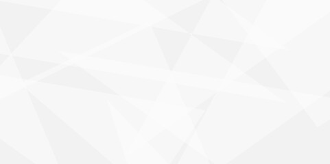 Abstract tringle white and grey  luxury shape grey strips line soft pattern elegent concept for banner, poster, brochure, cut paper vector illustration. 