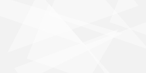 Abstract tringle white and grey  luxury shape grey strips line soft pattern elegent concept for banner, poster, brochure, cut paper vector illustration. 