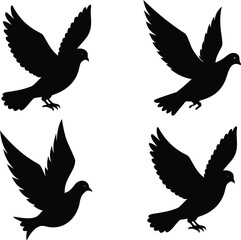 Fototapeta premium Four Silhouettes of Flying Pigeons