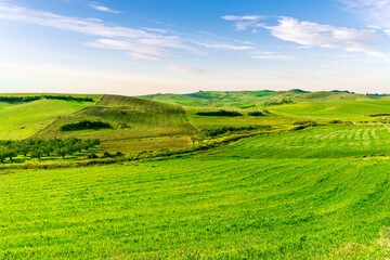 young spring field on hills of green rustic farmland with grass plants and garden. Countryside green spring or summer season landscape of farm with beautiful blue cloudy sky on background