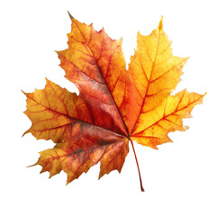 Obraz premium Autumn leaves falling nature realistic png image vibrant environment close-up view seasonal concept