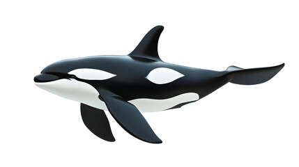 Fototapeta premium Stunning Image of Orca with Sleek Black and White Body