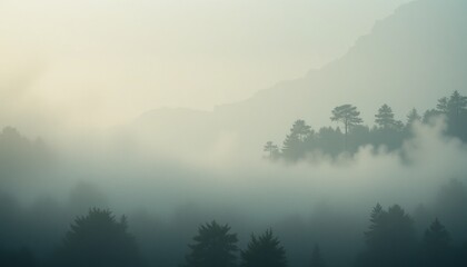 Serene foggy landscape morning scene mountainous region nature photography peaceful environment wide viewpoint tranquility concept for nature enthusiasts