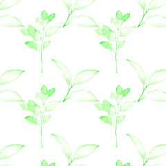 Leaves pattern on a white background. Hand-drawn illustration. Perfect for spring and summer.