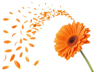 vibrant orange sunflower stands out beautifully, with petals gracefully swirling around it, creating lively and cheerful atmosphere