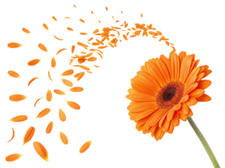 vibrant orange sunflower stands out beautifully, with petals gracefully swirling around it, creating lively and cheerful atmosphere