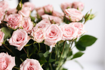 Close-up, bouquet of small pink roses on a white background.