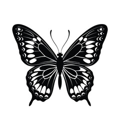 butterfly vector illustration