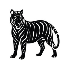 tiger  isolated on white background