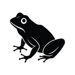 frog on a white background