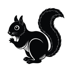 squirrel on a white background