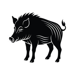 black and white wild boar