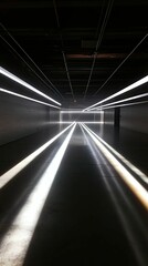 Obraz premium Illuminating hallway, stark white lines, dark setting
