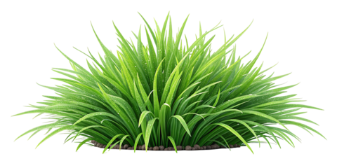 Green grass png isolated transparent background