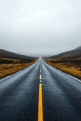 Fototapeta premium Endless Road Under Overcast Sky