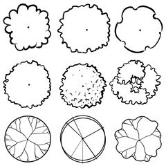 set of tree top view for landscape plan and architecture element. Trees plan © tanpimon