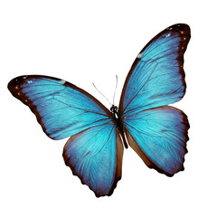 Obraz premium Realistic Colorful Butterfly Illustration – Transparent Background