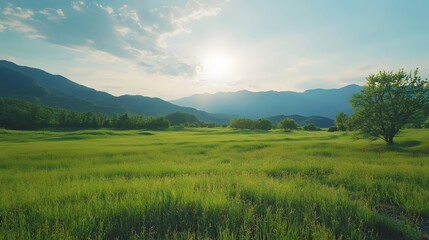 Fototapeta premium Lush Green Meadow Landscape