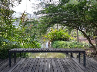 Serene garden scene with a wooden bench surrounded by lush greenery.