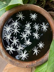 Floating flowers in a dark pot surrounded by green leaves.