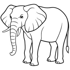 Fototapeta premium African Elephant Line Art Illustration for Coloring Book