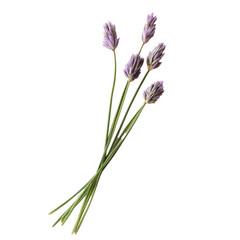 Fototapeta premium Dry Chive Flakes on transparent background