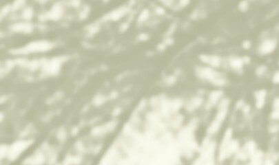 Tree shadow and light of leaf branch background. Nature leaves tropical jungle tree branch dark shadows and light from sunlight on wall texture for background wallpaper design, shadow overlay effect