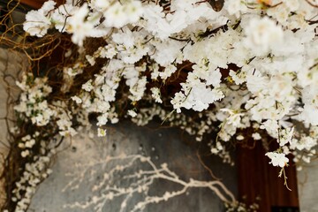 Elegant wedding decorations adorned with vibrant white flowers create a romantic atmosphere