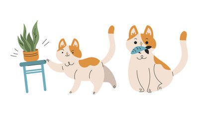 Funny Cat Domestic Pet with Pretty Snout Engaged in Different Activity Vector Set