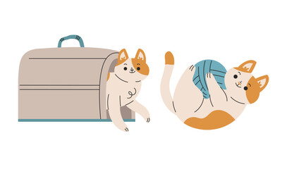 Funny Cat Domestic Pet with Pretty Snout Engaged in Different Activity Vector Set