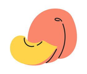 Hand drawn sweet natural peach