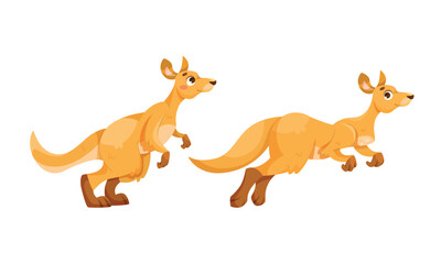 Cheerful Kangaroo Character and Australian Marsupial Animal Vector Set