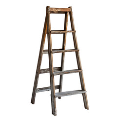 Wooden and metal ladder