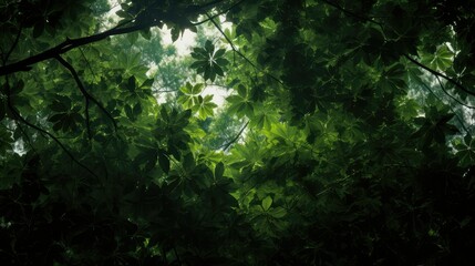 Obraz premium lush dark green leaves
