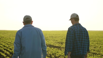 Agriculture. two male farmers walk through farmer field sunset. business meeting two entrepreneurs....