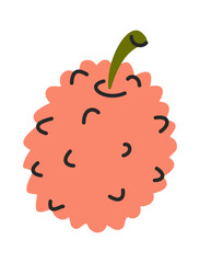 Hand drawn lychee tropical fruit