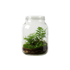 A closed terrarium jar