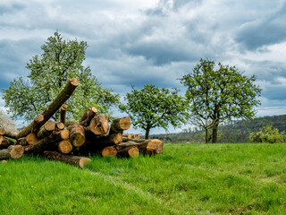 Brennholz Lager im Freien 