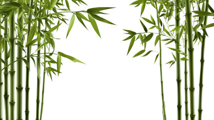 Naklejka premium green grass on white background