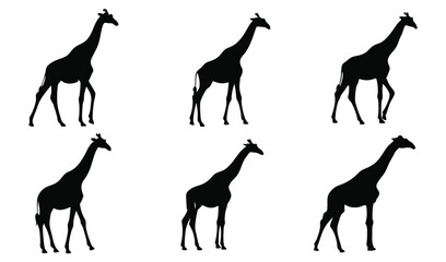 Fototapeta premium Giraffe Silhouettes Collection